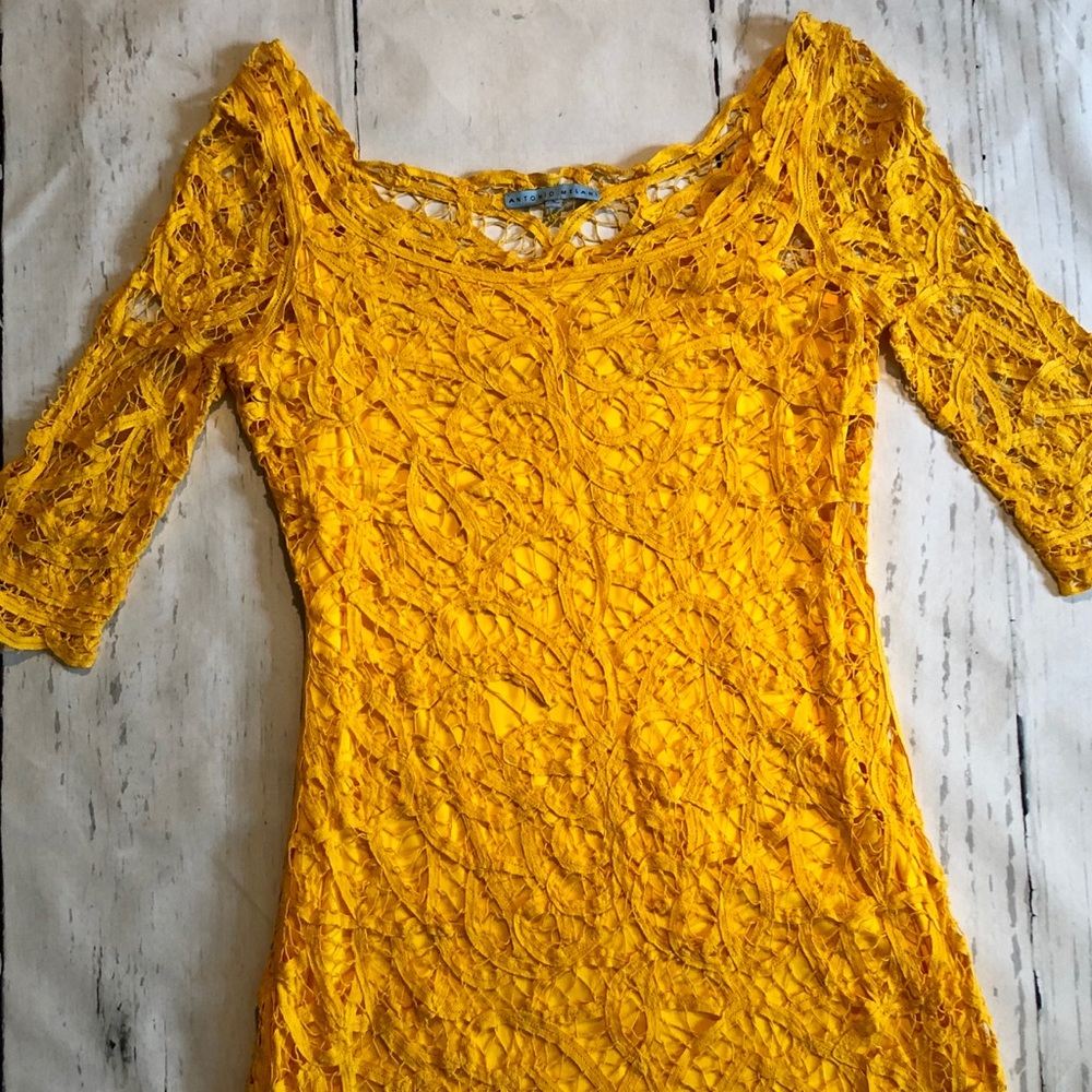 Antonio Melani Mustard Yellow Crochet Lace Dress